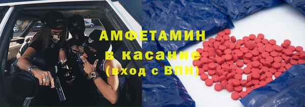 индика Алзамай